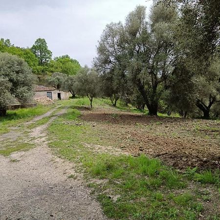 B&B Le Casette SantʼOnofrio Esterno foto